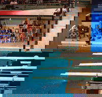 Dive Into History at Sydney Olympic Park Aquatic Centre - Accommodation 4U