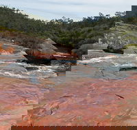 FR Berry Reserve - Accommodation 4U