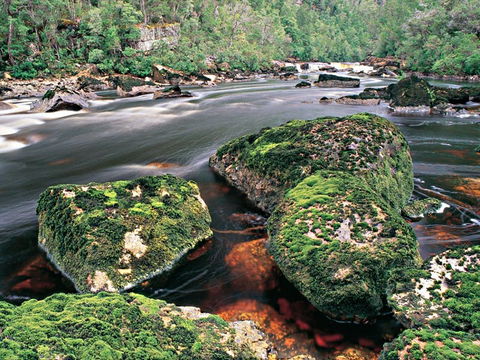 Gordon River - The - Accommodation 4U 2