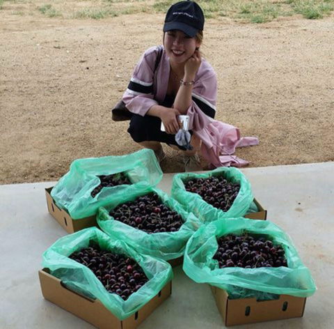 Hall Family Orchards - Accommodation 4U 1