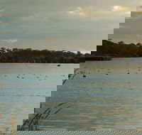 Lake Inverell Reserve - Accommodation 4U