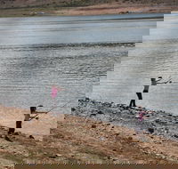 Lake Wyangala - Accommodation 4U