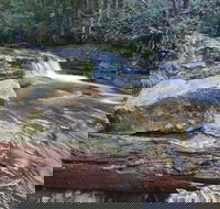 Liffey Falls Reserve