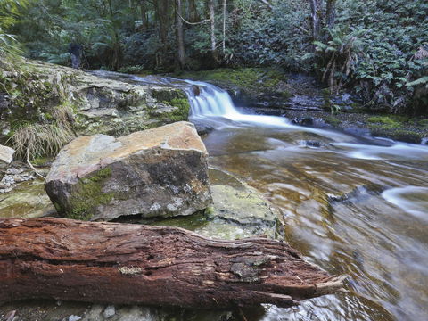 Liffey Falls Reserve - Accommodation 4U 0
