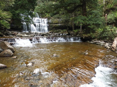 Liffey Falls Reserve - Accommodation 4U 1