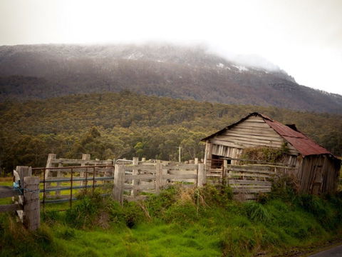 Liffey Falls Reserve - Accommodation 4U 2