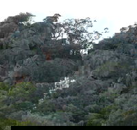 Mount Yarrowyck Nature Reserve - Accommodation 4U