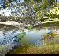 Murray Valley National Park - Accommodation 4U
