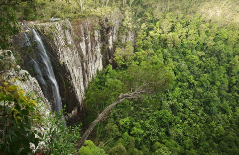 Nightcap National Park - Accommodation 4U 0