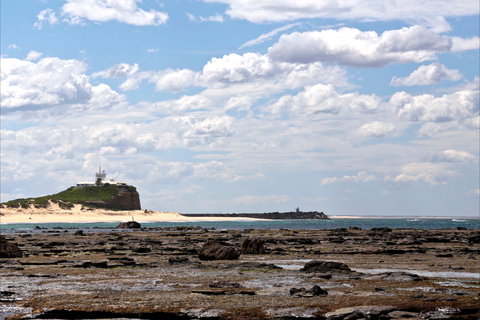 Nobbys Beach - Accommodation 4U 1