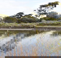 Onkaparinga River Recreation Park