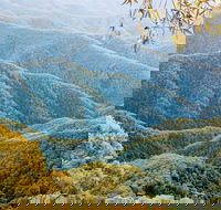 Point Lookout Walking Track - Accommodation 4U