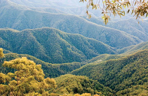 Point Lookout Walking Track - Accommodation 4U 0