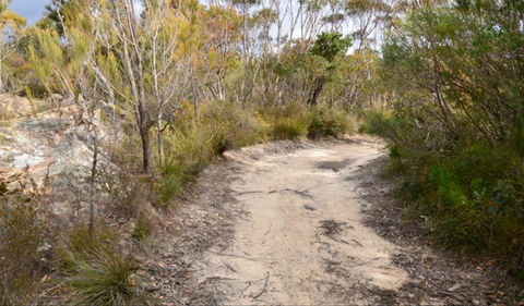 Red Rocks Trig Walking Track - Accommodation 4U 0
