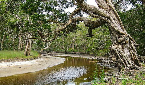 Saltwater National Park - Accommodation 4U 0