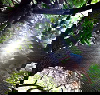 Scarborough Beach Park - Accommodation 4U