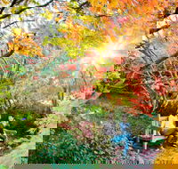 The Blue Mountains Botanic Garden Mount Tomah - Accommodation 4U