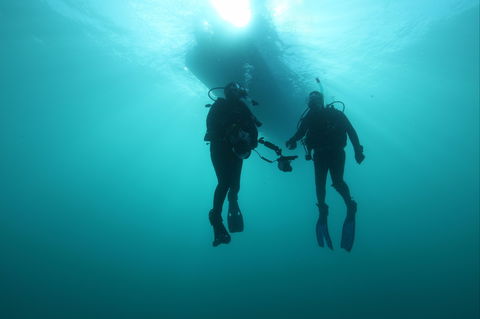 The Arches Marine Sanctuary - Accommodation 4U 0