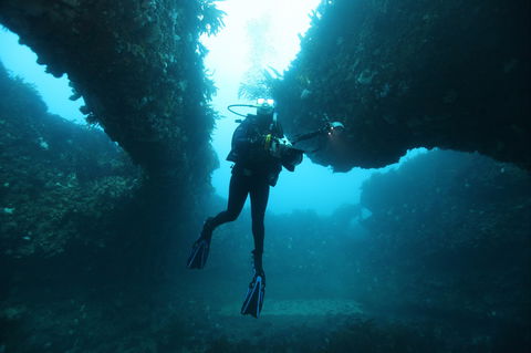 The Arches Marine Sanctuary - Accommodation 4U 1