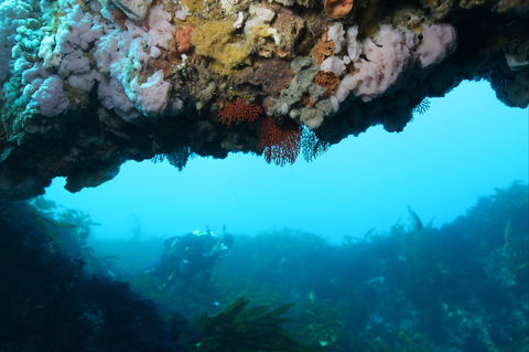 The Arches Marine Sanctuary - Accommodation 4U 2