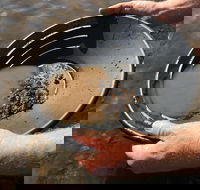 Tuena Panning for Gold - Accommodation 4U
