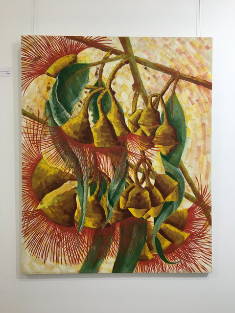 Wacky Bird Gallery - Accommodation 4U 1