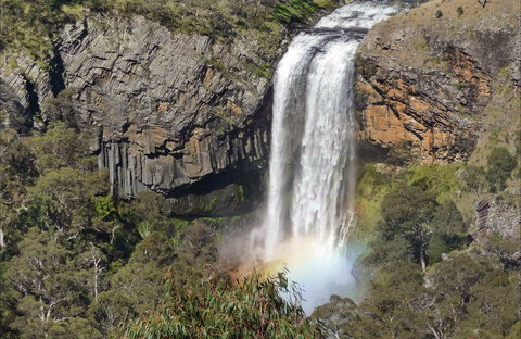 Waterfall Way Scenic Drive - Accommodation 4U 0