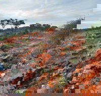 Western Ridge Walk - Accommodation 4U