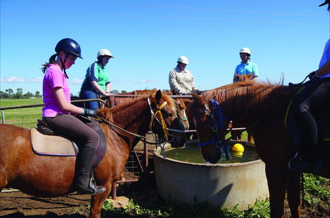 Western Plains Riding Centre - Open - Accommodation 4U 0