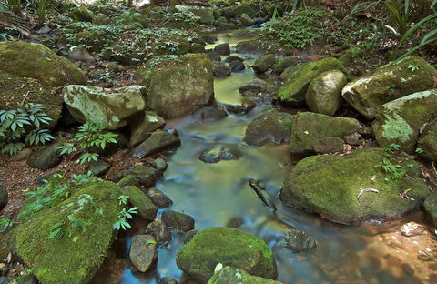 Whian Whian State Conservation Area - Accommodation 4U 0