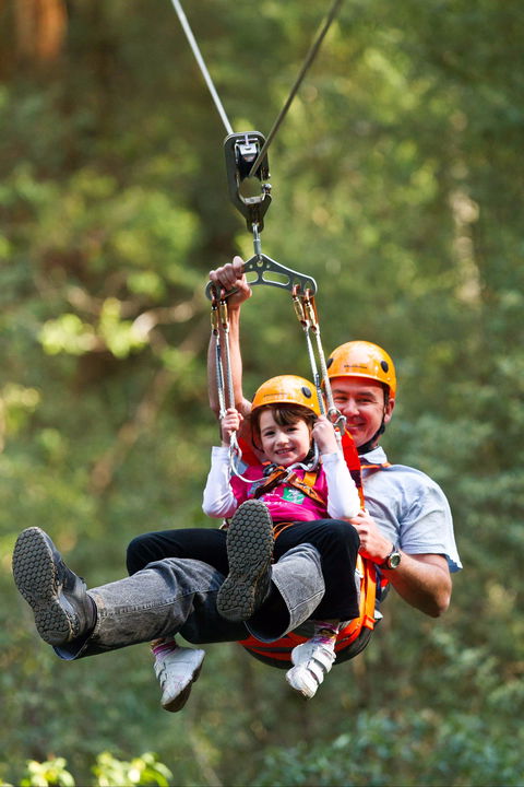 Zipline At Illawarra Fly - Accommodation 4U 0