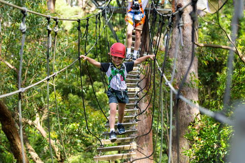 Zipline At Illawarra Fly - Accommodation 4U 1
