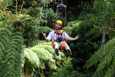 Zipline At Illawarra Fly - Accommodation 4U 2