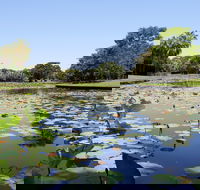 Anderson Park Botanic Gardens - Accommodation 4U