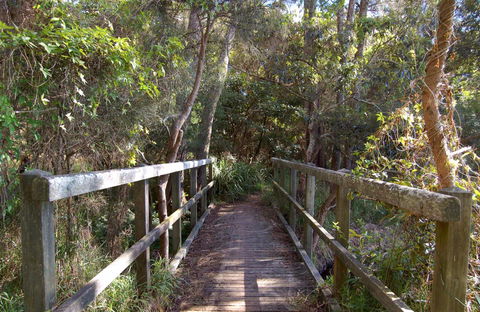 Awaba Bay Foreshore Walk - Accommodation 4U 0