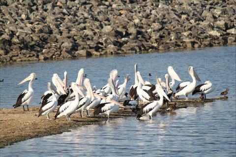 Bjelke-Petersen Dam - Accommodation 4U 2