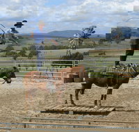 Boggy Creek Show - Accommodation 4U