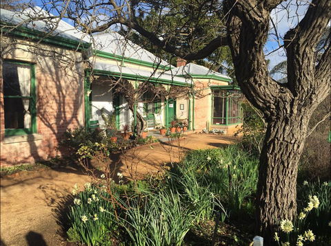 Buda Historic Home & Garden - Accommodation 4U 1