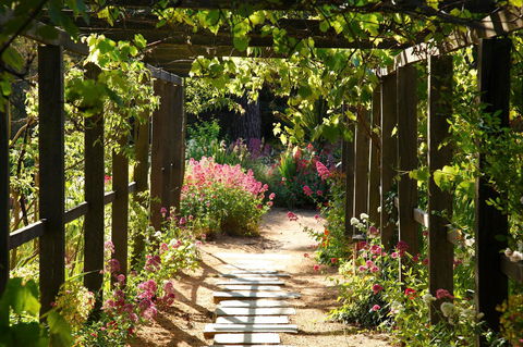 Buda Historic Home & Garden - Accommodation 4U 2