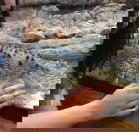 Canberra Reptile Zoo - Accommodation 4U