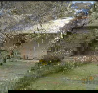 Castlemaine Diggings National Heritage Park - Accommodation 4U