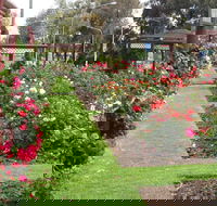 Cowra Rose Garden - Accommodation 4U