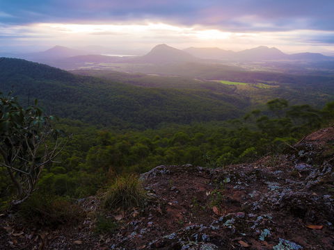 Cunninghams Gap And Spicers Gap, Main Range National Park - Accommodation 4U 0