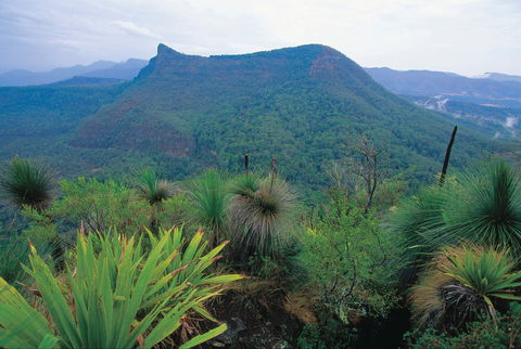 Cunninghams Gap And Spicers Gap, Main Range National Park - Accommodation 4U 1
