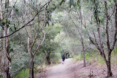 D'Aguilar National Park - Accommodation 4U 2