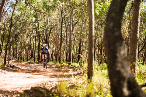 Davies Creek Mountain Bike Park - Accommodation 4U 1