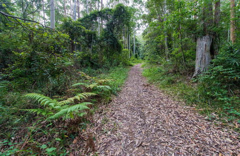 Double Wharf Trail - Accommodation 4U 0