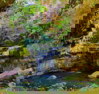 Glimpse of the Outback 5 Day Tour - Roma and Surrounds - Accommodation 4U