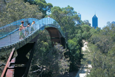 Law Walk - Kings Park - Accommodation 4U 0