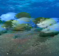 Lodestone Reef - Accommodation 4U